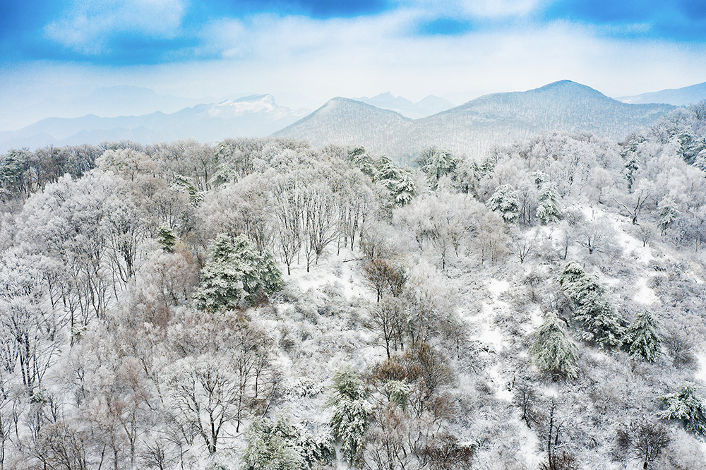 太行龍泉驟降春雪 青山林海銀裝素裹