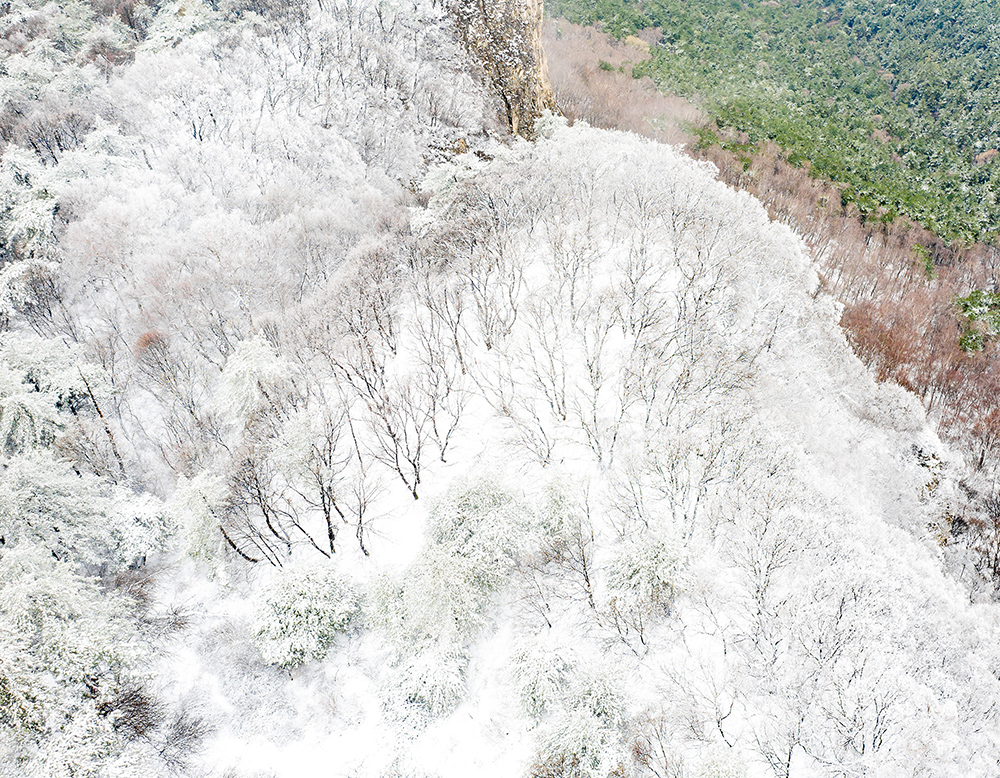 太行龍泉驟降春雪 青山林海銀裝素裹【2】